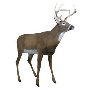 Image Of Deer Decoy