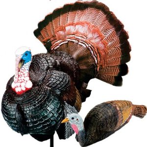 Image Of Turkey Decoys